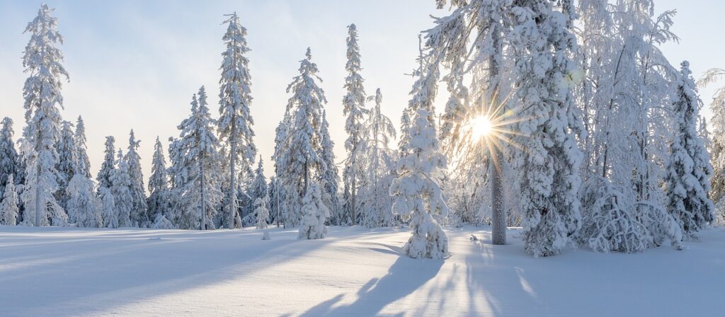 Crystal’s Illness | The Onset